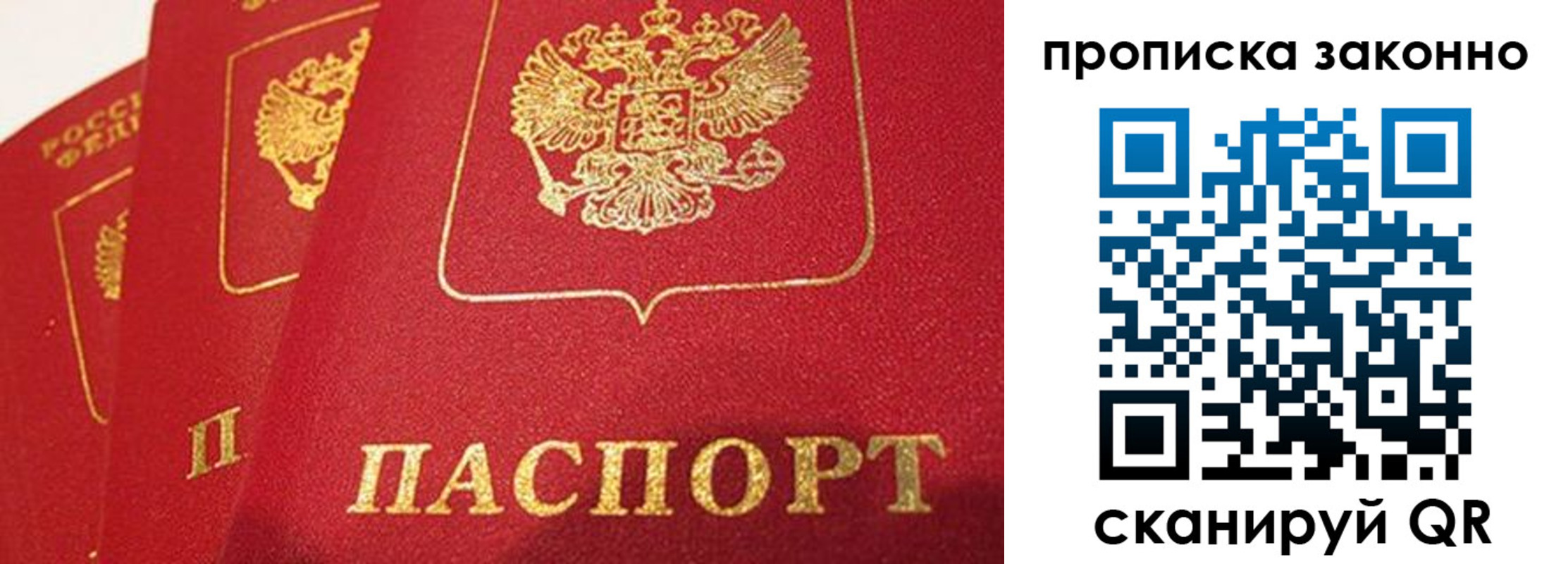 прописка 2025 в Липецке